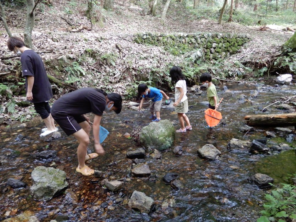 ブログ画像